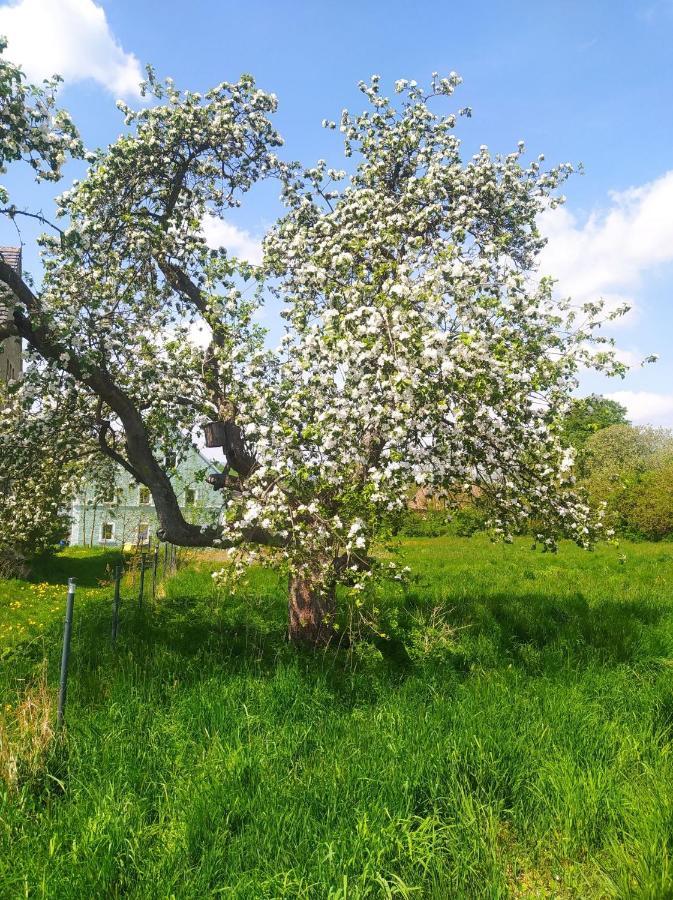Polny Zakatek - Pokoje Goscinne Rybnica エクステリア 写真